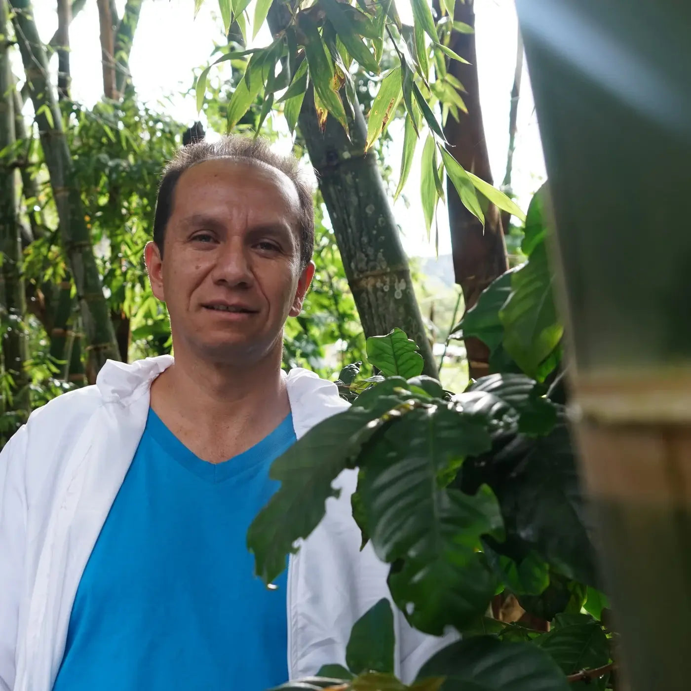 Ascencio Muñoz tussen de koffieplanten in Nariño, Colombia