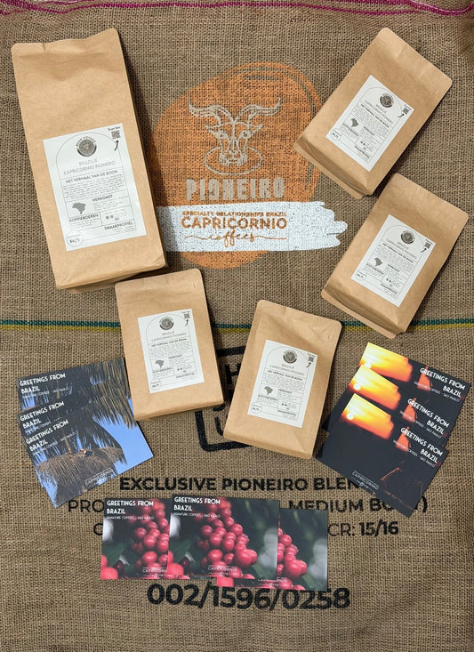 Brazilian Pioneiro - Natural Honey - Bean Voyage